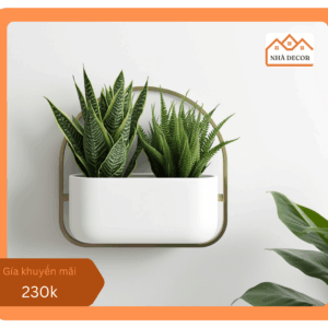 Chậu cây treo tường gốm sứ